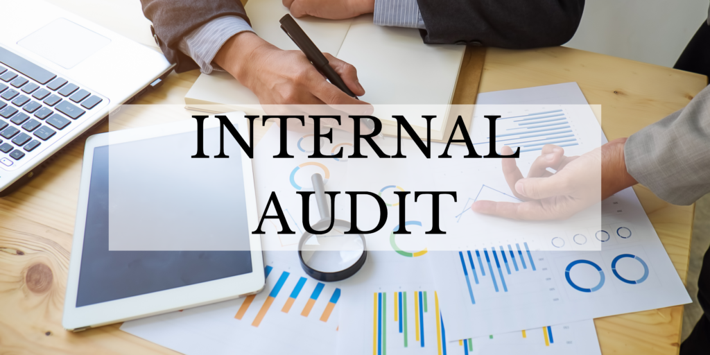 Audit Internal