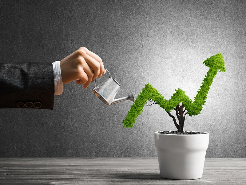 Growth Investing