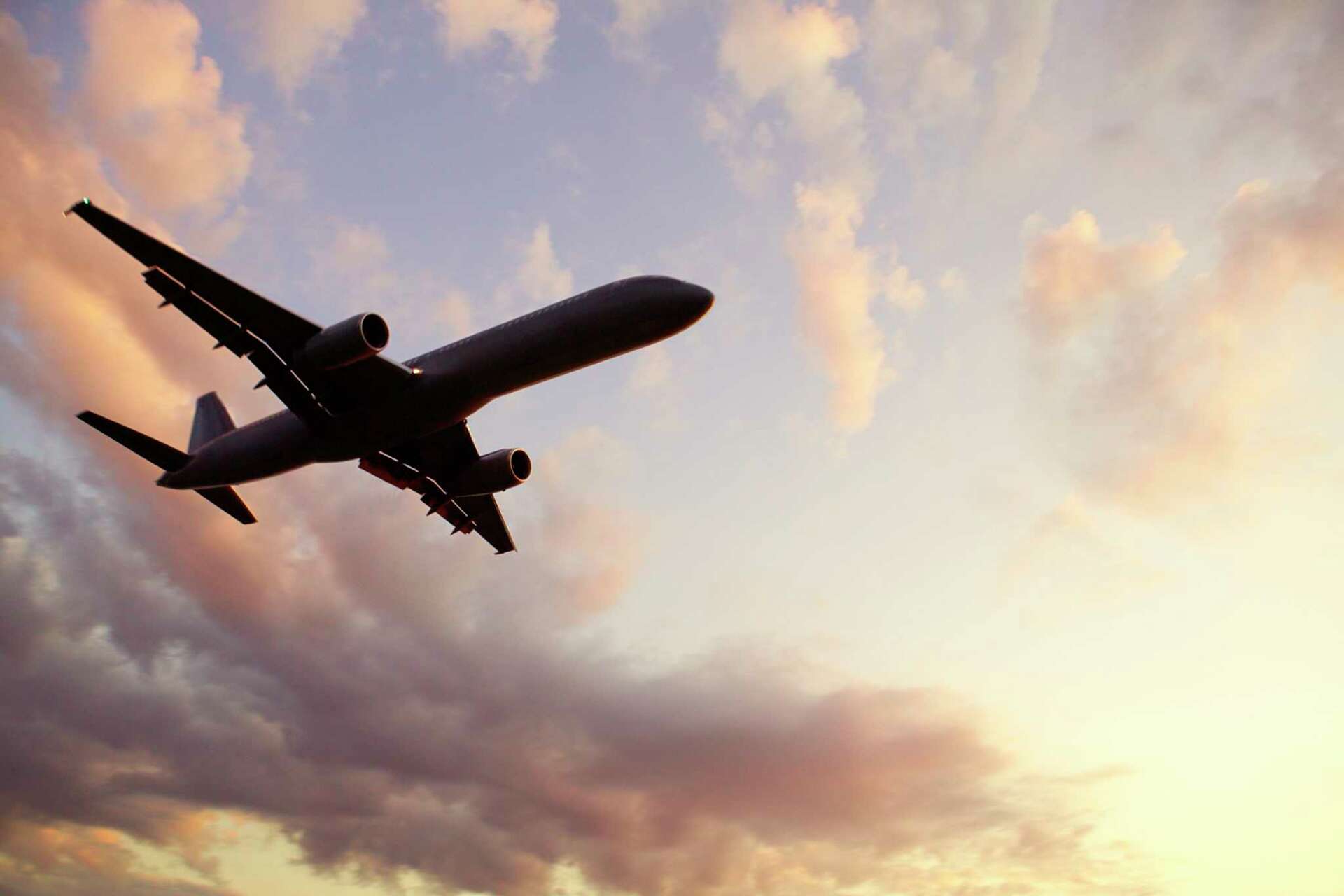 company travel budget