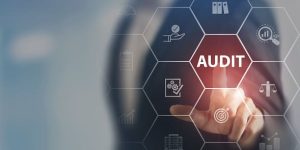 Audit Operasional