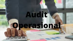 Audit Operasional