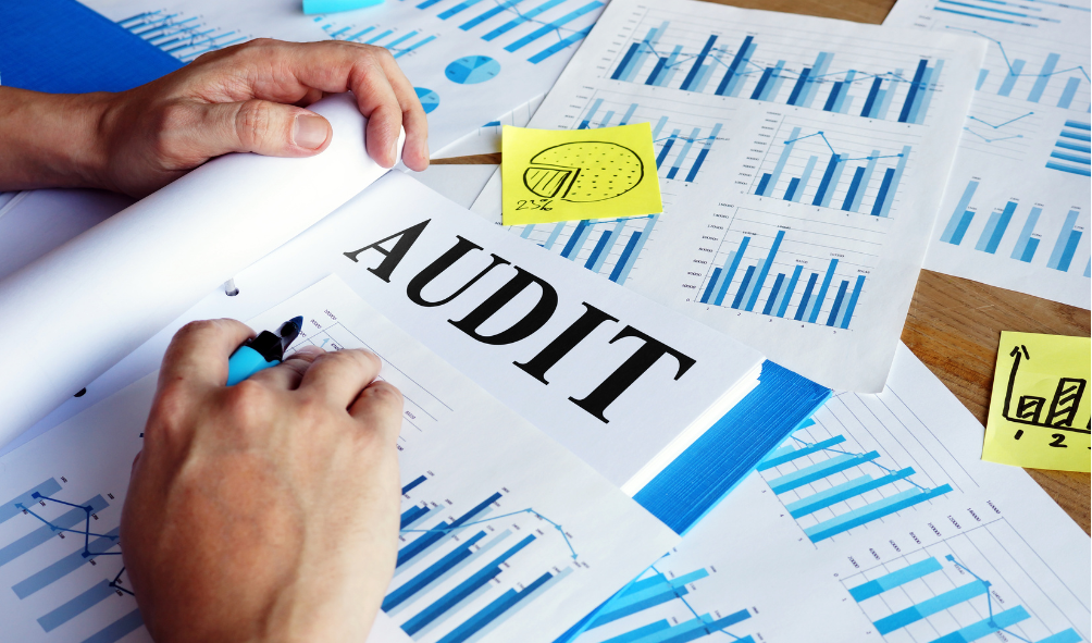 Audit Operasional Internal