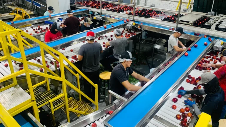 Perencanaan Produksi Harian