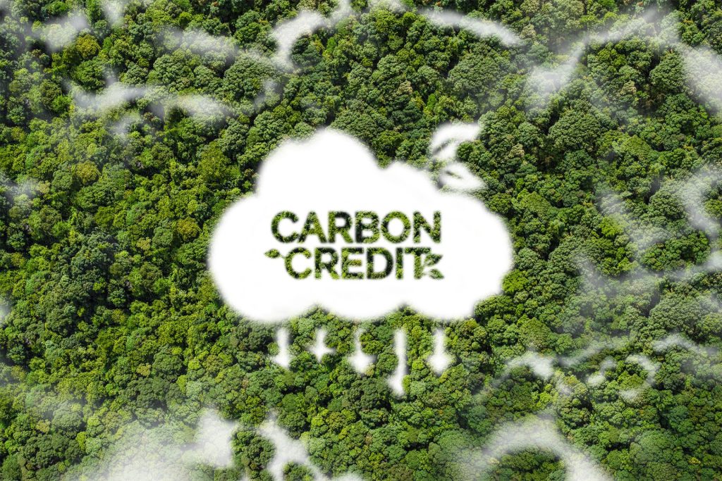 Carbon Credits