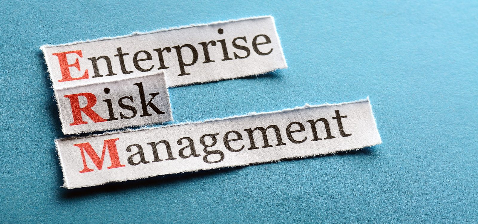 Enterprise Risk