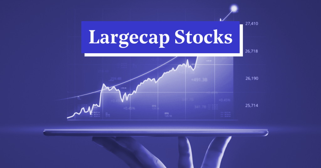 Large Cap Stocks