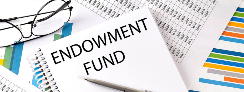 Endowment Funds