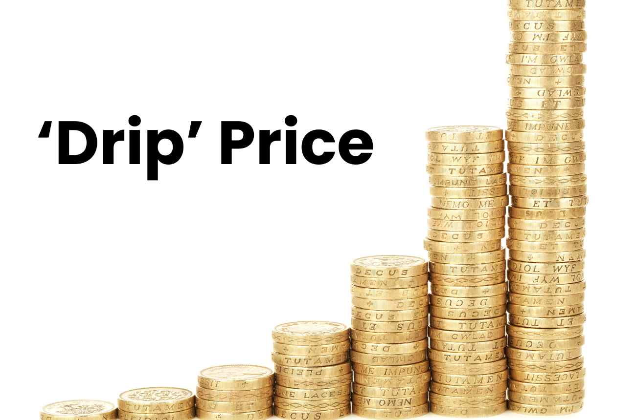 Drip Pricing