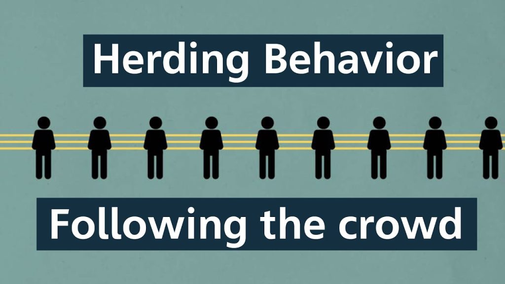 Herding Behavior
