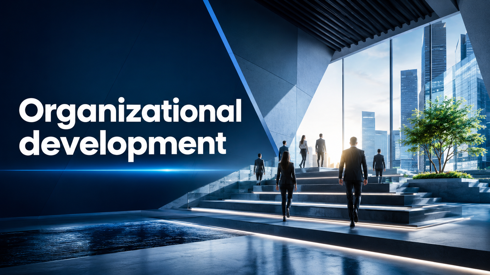 Organizational Development