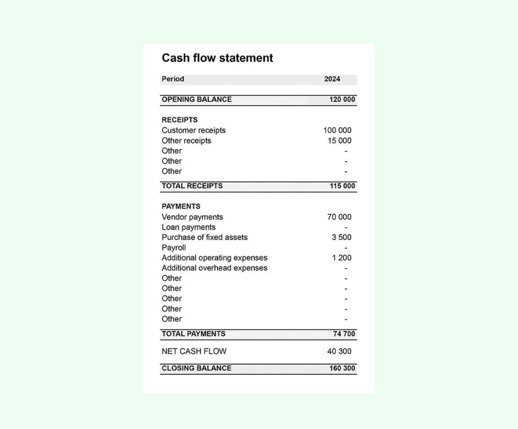 Cash Flow Statement