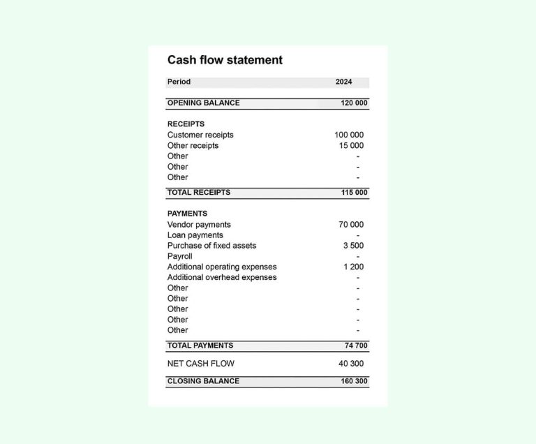 Cash Flow Statement